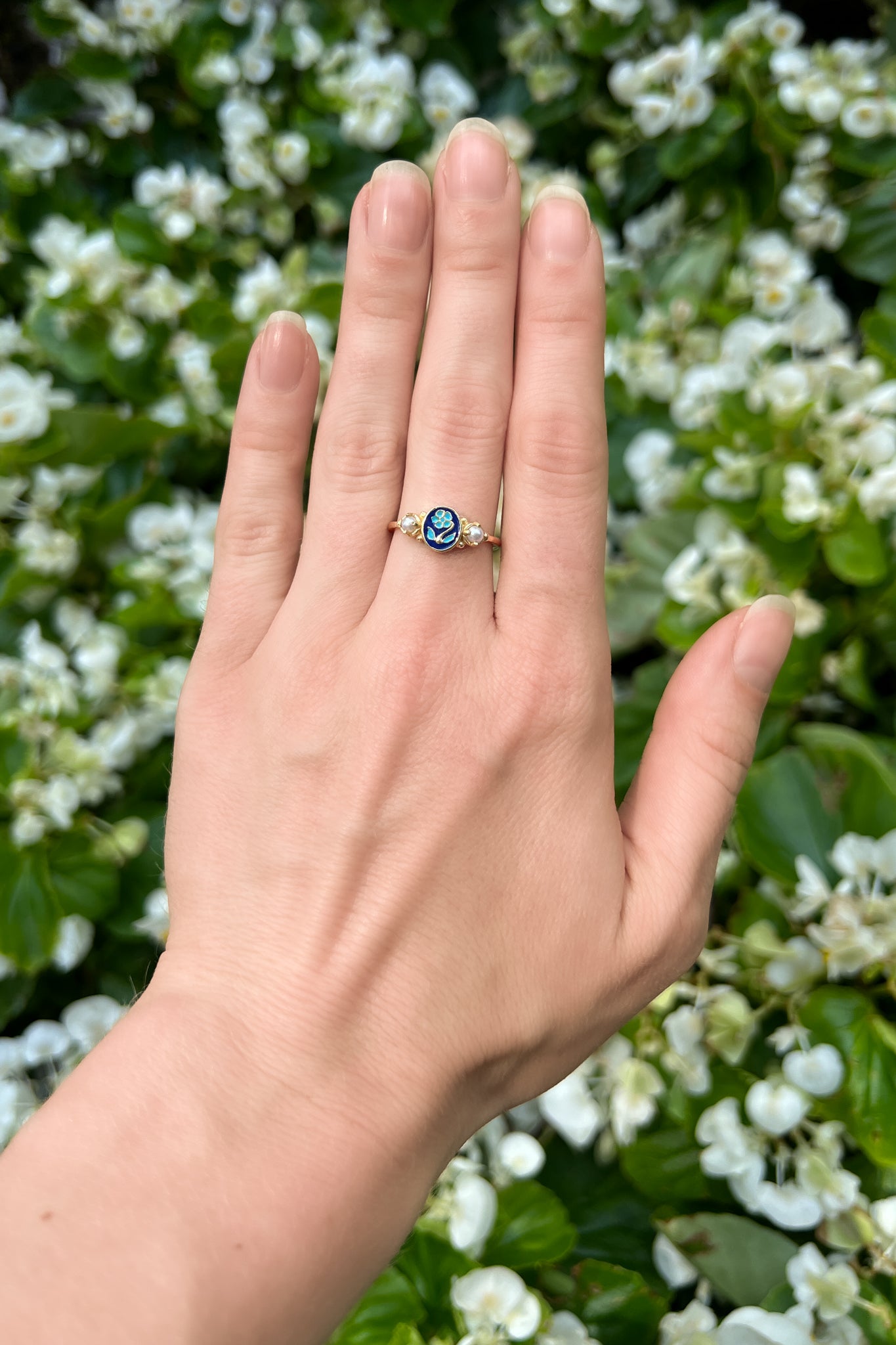 forget me not jewelry