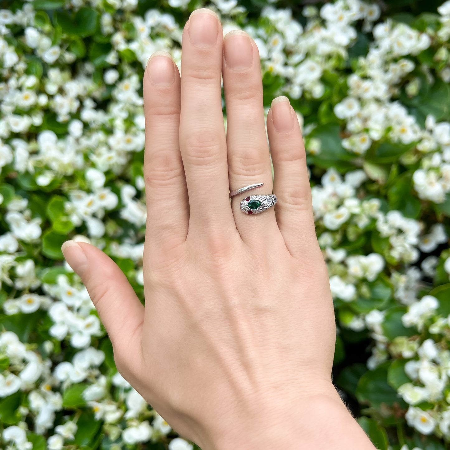 Queen Victoria's Ring - Silver