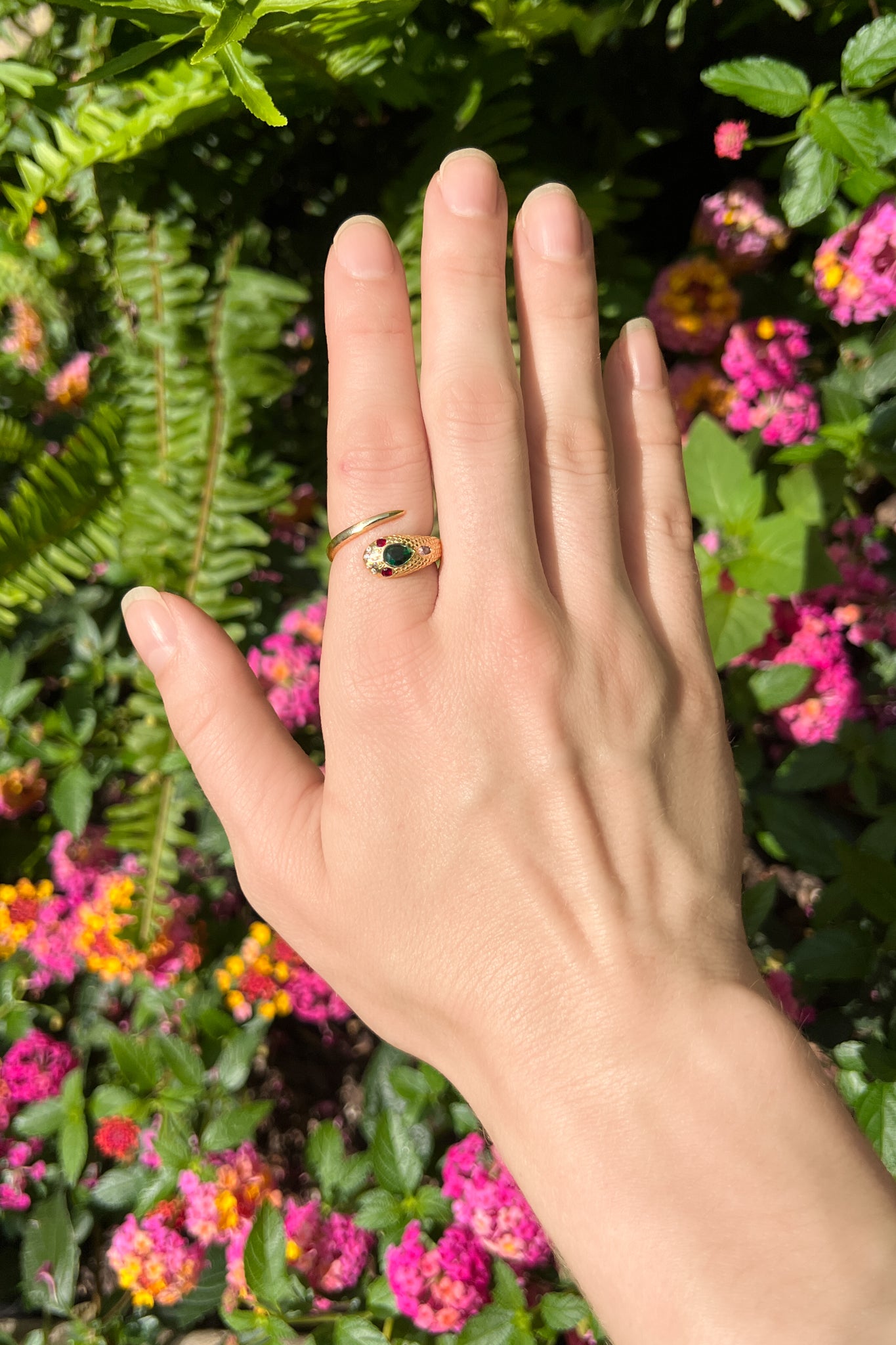 snake ring symbolism