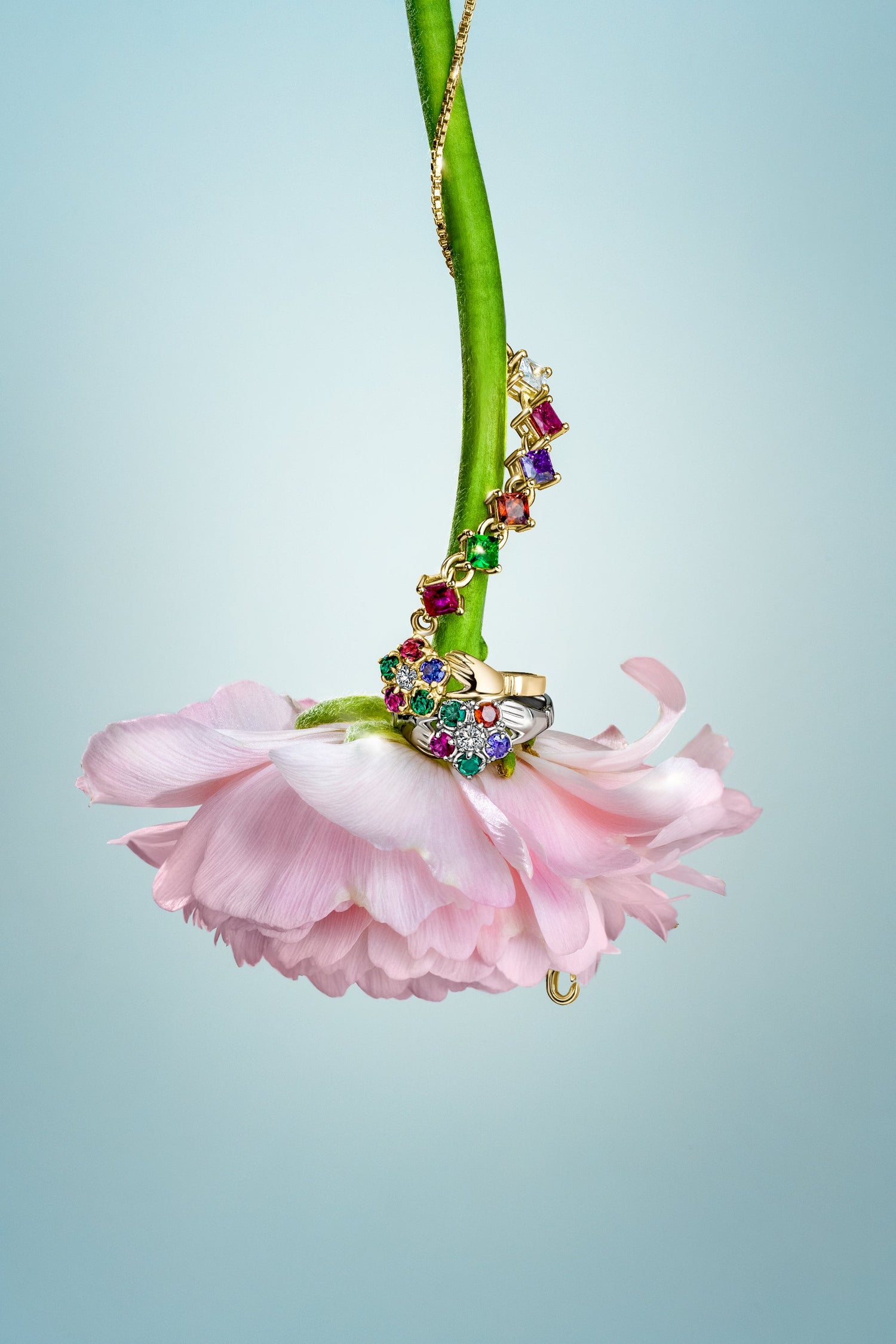 Victorian Regard Collection