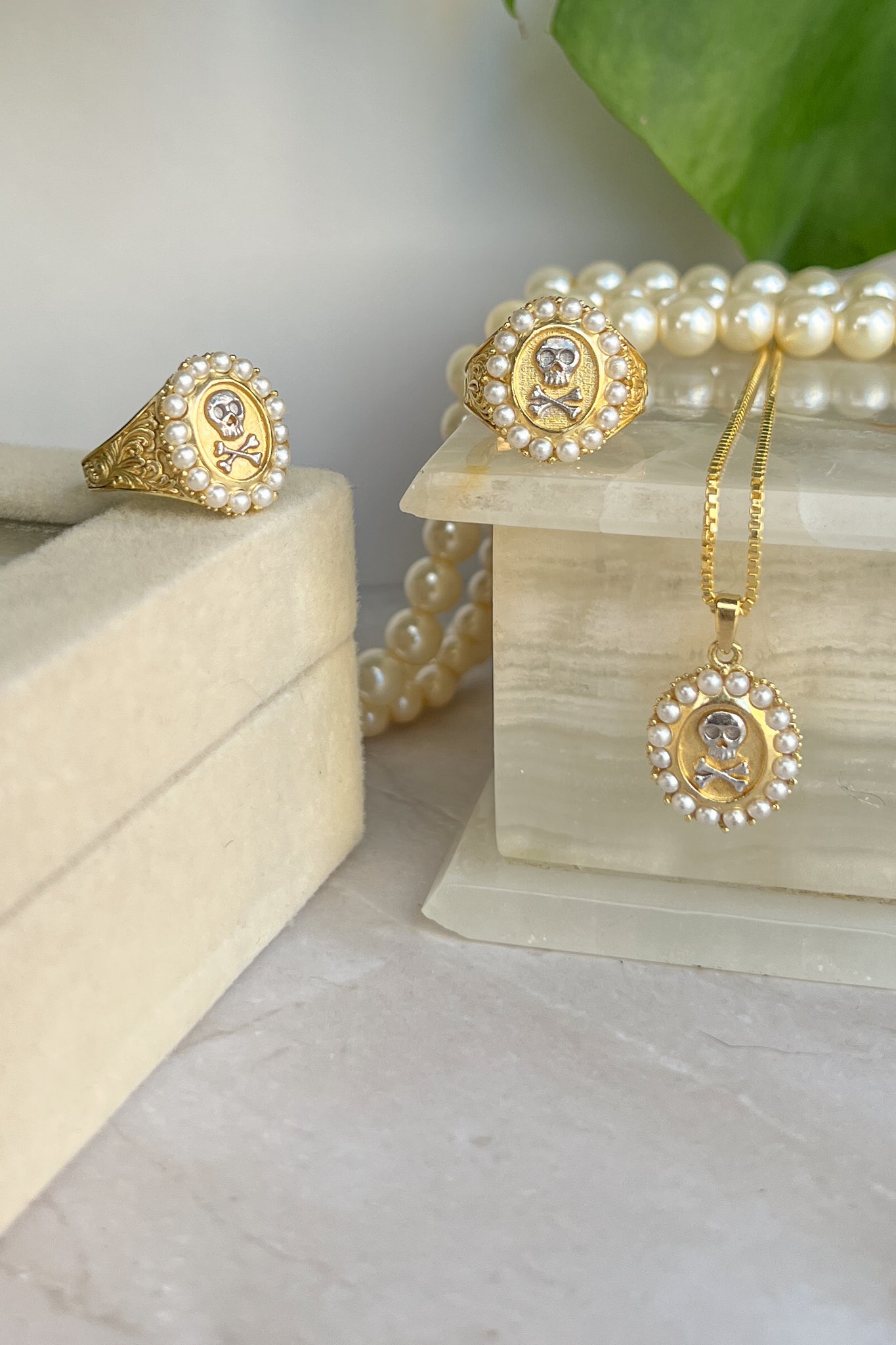 Statement Skull and Crossbones Jewelry